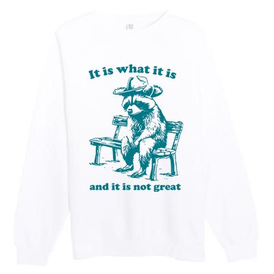 It Is What It Is And It Is Not Great Funny Raccoon Sarcastic Premium Crewneck Sweatshirt