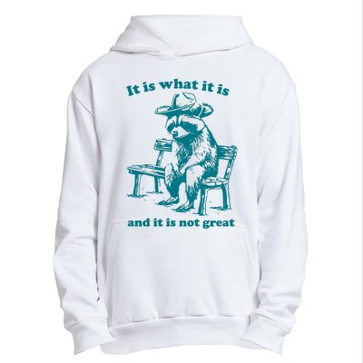 It Is What It Is And It Is Not Great Funny Raccoon Sarcastic Urban Pullover Hoodie