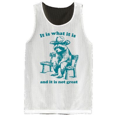 It Is What It Is And It Is Not Great Funny Raccoon Sarcastic Mesh Reversible Basketball Jersey Tank