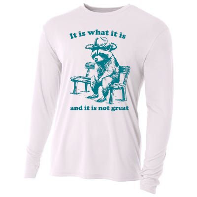 It Is What It Is And It Is Not Great Funny Raccoon Sarcastic Cooling Performance Long Sleeve Crew