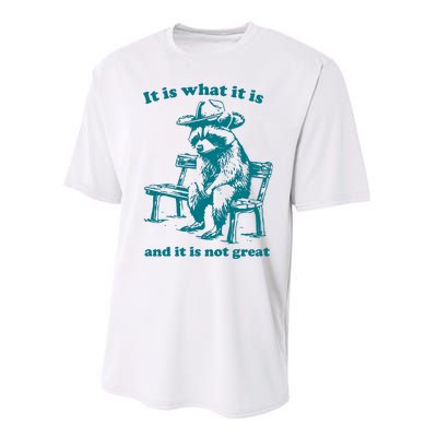 It Is What It Is And It Is Not Great Funny Raccoon Sarcastic Performance Sprint T-Shirt