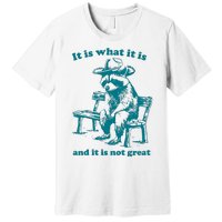 It Is What It Is And It Is Not Great Funny Raccoon Sarcastic Premium T-Shirt