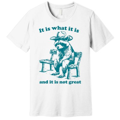 It Is What It Is And It Is Not Great Funny Raccoon Sarcastic Premium T-Shirt