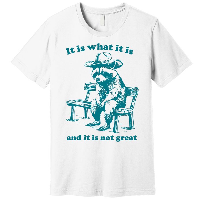 It Is What It Is And It Is Not Great Funny Raccoon Sarcastic Premium T-Shirt