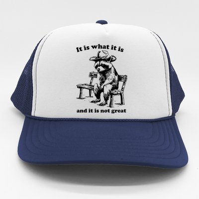 It Is What It Is And It Is Not Great Funny Raccoon Sarcastic Trucker Hat