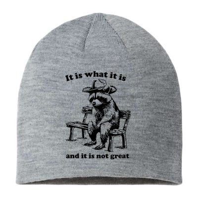 It Is What It Is And It Is Not Great Funny Raccoon Sarcastic Sustainable Beanie