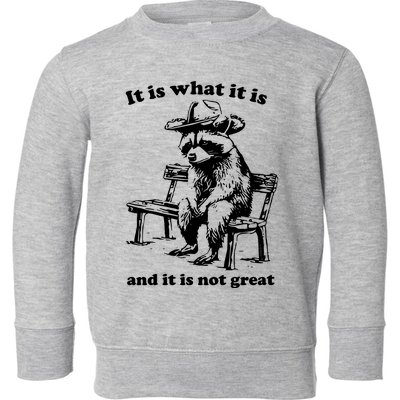 It Is What It Is And It Is Not Great Funny Raccoon Sarcastic Toddler Sweatshirt