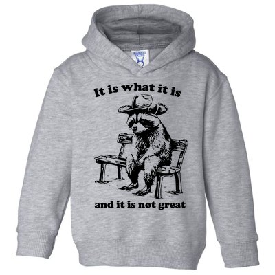 It Is What It Is And It Is Not Great Funny Raccoon Sarcastic Toddler Hoodie