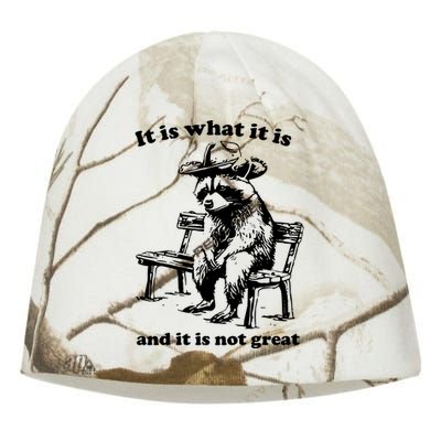 It Is What It Is And It Is Not Great Funny Raccoon Sarcastic Kati - Camo Knit Beanie