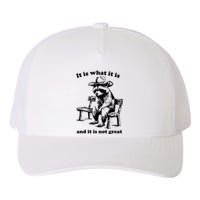 It Is What It Is And It Is Not Great Funny Raccoon Sarcastic Yupoong Adult 5-Panel Trucker Hat