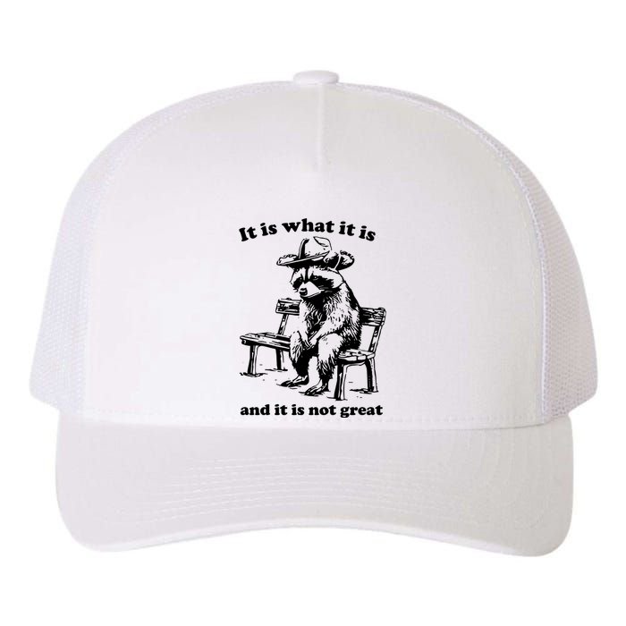 It Is What It Is And It Is Not Great Funny Raccoon Sarcastic Yupoong Adult 5-Panel Trucker Hat