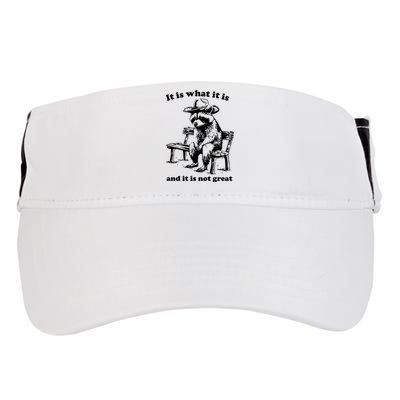 It Is What It Is And It Is Not Great Funny Raccoon Sarcastic Adult Drive Performance Visor