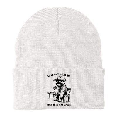 It Is What It Is And It Is Not Great Funny Raccoon Sarcastic Knit Cap Winter Beanie