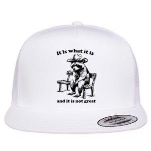 It Is What It Is And It Is Not Great Funny Raccoon Sarcastic Flat Bill Trucker Hat