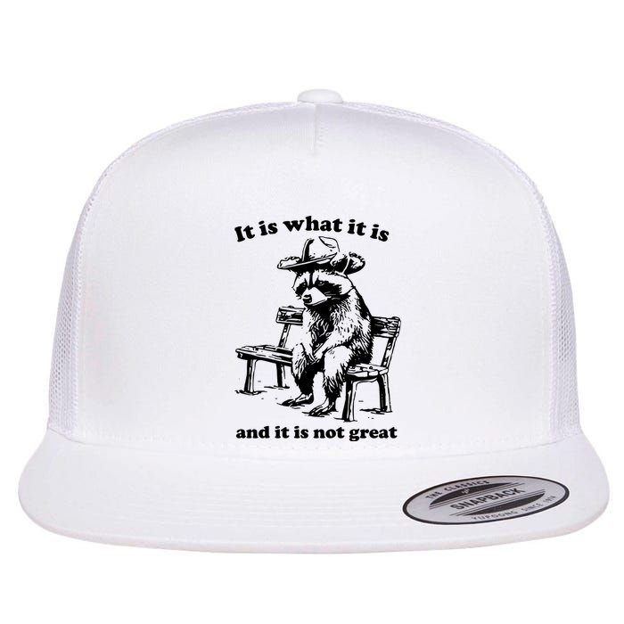 It Is What It Is And It Is Not Great Funny Raccoon Sarcastic Flat Bill Trucker Hat