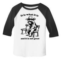 It Is What It Is And It Is Not Great Funny Raccoon Sarcastic Toddler Fine Jersey T-Shirt