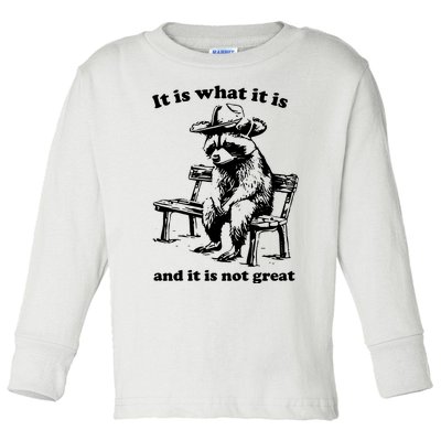 It Is What It Is And It Is Not Great Funny Raccoon Sarcastic Toddler Long Sleeve Shirt