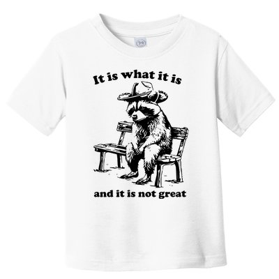 It Is What It Is And It Is Not Great Funny Raccoon Sarcastic Toddler T-Shirt