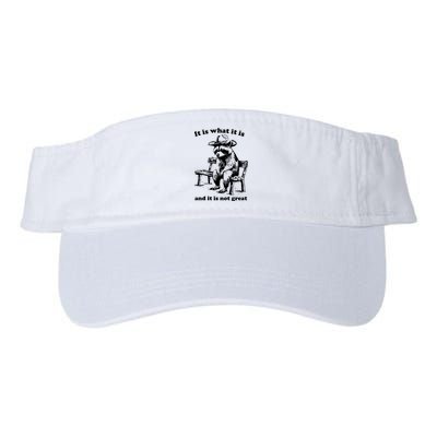 It Is What It Is And It Is Not Great Funny Raccoon Sarcastic Valucap Bio-Washed Visor