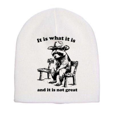 It Is What It Is And It Is Not Great Funny Raccoon Sarcastic Short Acrylic Beanie