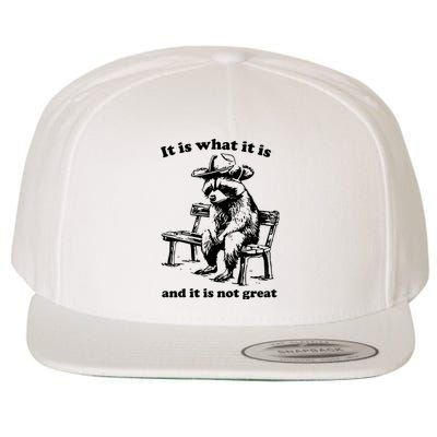 It Is What It Is And It Is Not Great Funny Raccoon Sarcastic Wool Snapback Cap