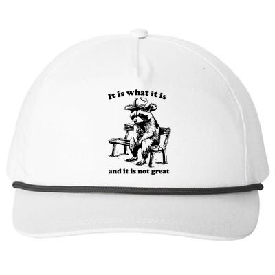 It Is What It Is And It Is Not Great Funny Raccoon Sarcastic Snapback Five-Panel Rope Hat