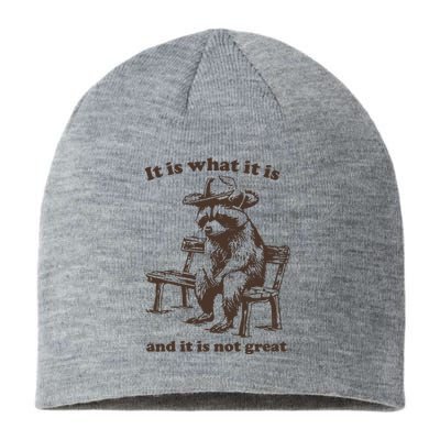 It Is What It Is And It Is Not Great Funny Raccoon Sarcastic Sustainable Beanie