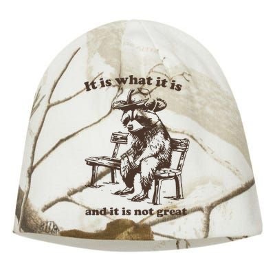 It Is What It Is And It Is Not Great Funny Raccoon Sarcastic Kati - Camo Knit Beanie