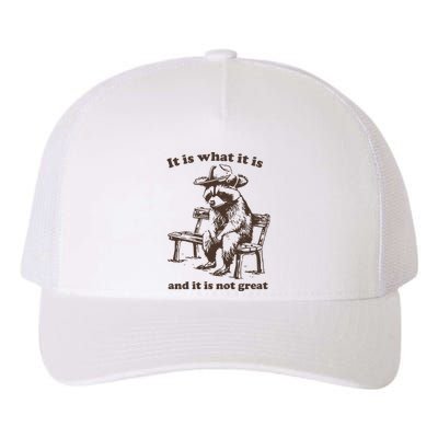 It Is What It Is And It Is Not Great Funny Raccoon Sarcastic Yupoong Adult 5-Panel Trucker Hat