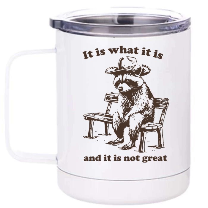 It Is What It Is And It Is Not Great Funny Raccoon Sarcastic 12 oz Stainless Steel Tumbler Cup