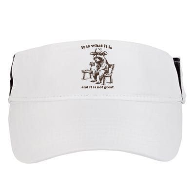 It Is What It Is And It Is Not Great Funny Raccoon Sarcastic Adult Drive Performance Visor