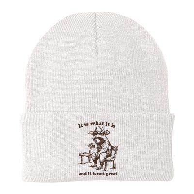 It Is What It Is And It Is Not Great Funny Raccoon Sarcastic Knit Cap Winter Beanie