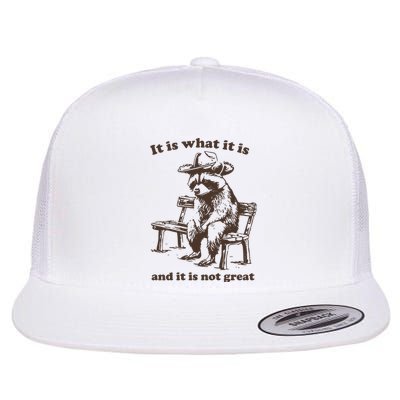 It Is What It Is And It Is Not Great Funny Raccoon Sarcastic Flat Bill Trucker Hat