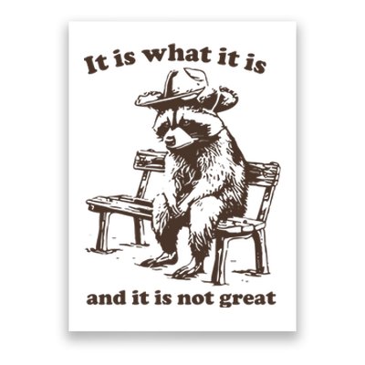 It Is What It Is And It Is Not Great Funny Raccoon Sarcastic Poster