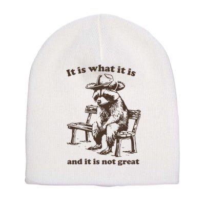 It Is What It Is And It Is Not Great Funny Raccoon Sarcastic Short Acrylic Beanie