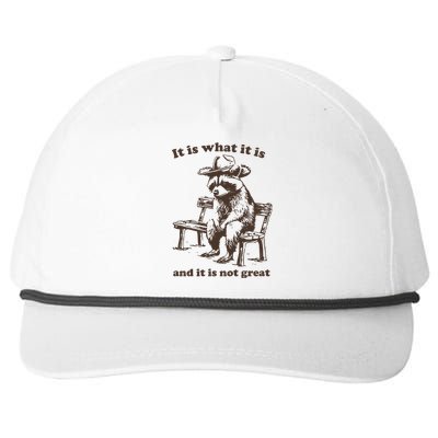 It Is What It Is And It Is Not Great Funny Raccoon Sarcastic Snapback Five-Panel Rope Hat