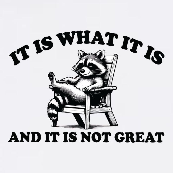 It Is What It Is And It Is Not Great Mental Health Poster
