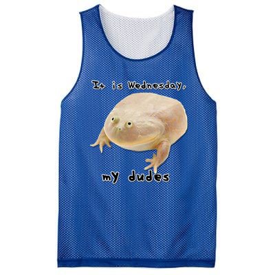 It Is Wednesday My Dudes Funny Classic Frog Meme Original Gift Mesh Reversible Basketball Jersey Tank