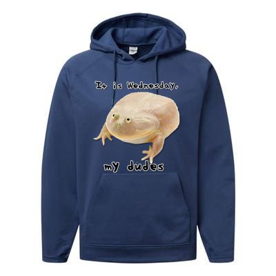 It Is Wednesday My Dudes Funny Classic Frog Meme Original Gift Performance Fleece Hoodie