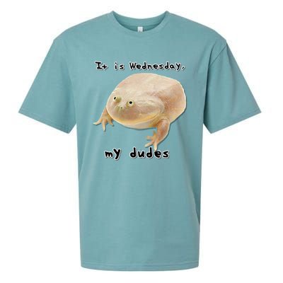 It Is Wednesday My Dudes Funny Classic Frog Meme Original Gift Sueded Cloud Jersey T-Shirt