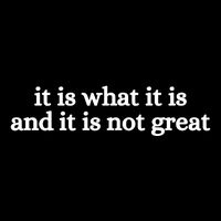 It Is What It Is And It Is Not Great 7-Panel Snapback Hat