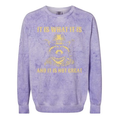 It Is What It Is And Its Not Great Funny Raccoon Colorblast Crewneck Sweatshirt