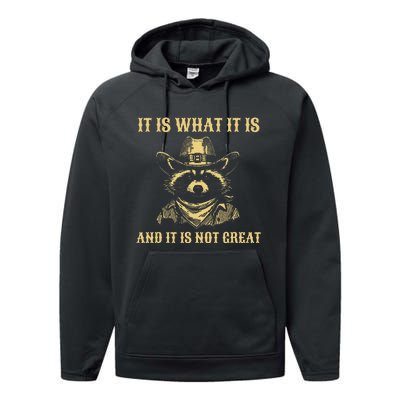 It Is What It Is And Its Not Great Funny Raccoon Performance Fleece Hoodie