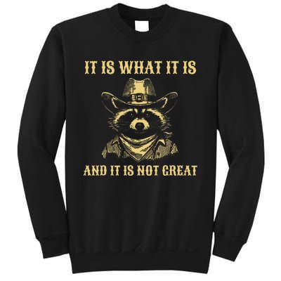 It Is What It Is And Its Not Great Funny Raccoon Sweatshirt