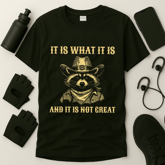It Is What It Is And Its Not Great Funny Raccoon T-Shirt