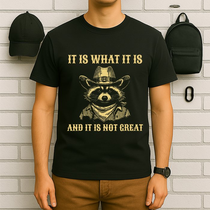 It Is What It Is And Its Not Great Funny Raccoon T-Shirt