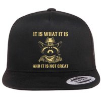 It Is What It Is And Its Not Great Funny Raccoon Flat Bill Trucker Hat