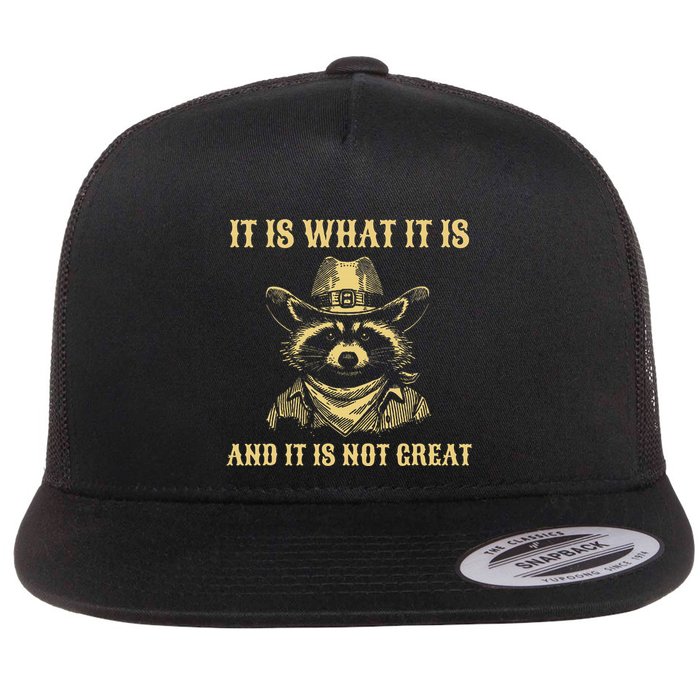 It Is What It Is And Its Not Great Funny Raccoon Flat Bill Trucker Hat
