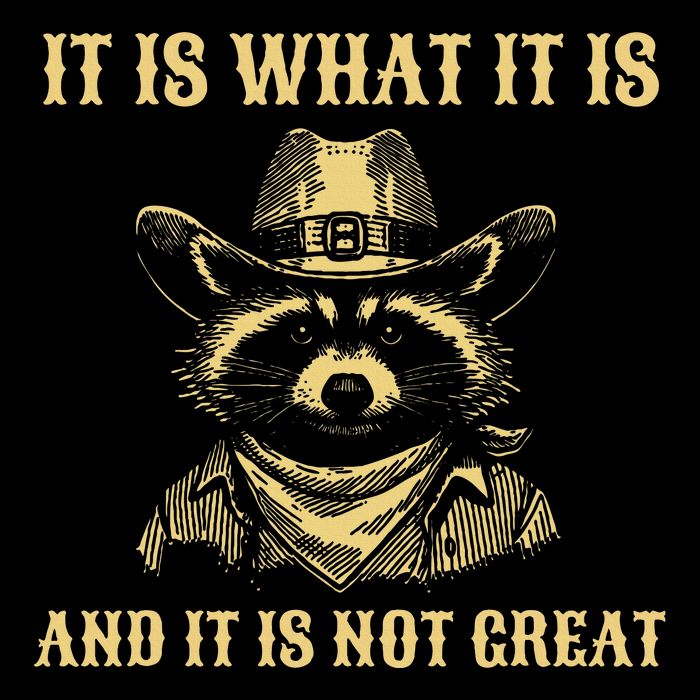 It Is What It Is And Its Not Great Funny Raccoon Flat Bill Trucker Hat