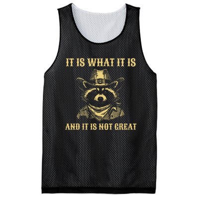 It Is What It Is And Its Not Great Funny Raccoon Mesh Reversible Basketball Jersey Tank